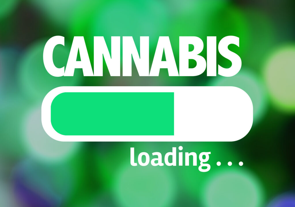 cannabis blog
